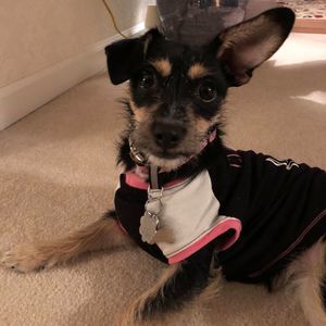 Meet your Posher, Julie